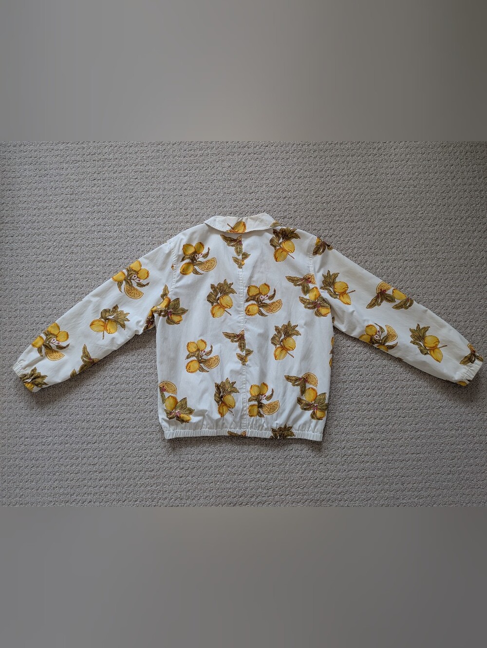 Fun Fruit Patterned Light Spring Jacket - Picture 2 of 8
